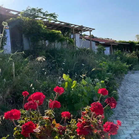 Pensiune agroturistice Furma Eco Farm Karaburun (Izmir)