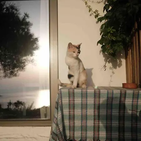 Furma Eco Farm * Karaburun (Izmir)