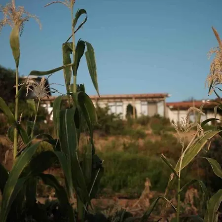 Furma Eco Farm *