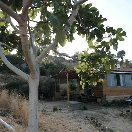 Furma Eco Farm Çiftlik konaklama
